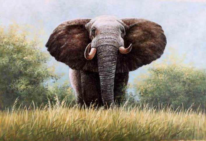 707x485 Elephant Oil Painting 24x36 Id2721 - Elephant Oil Painting