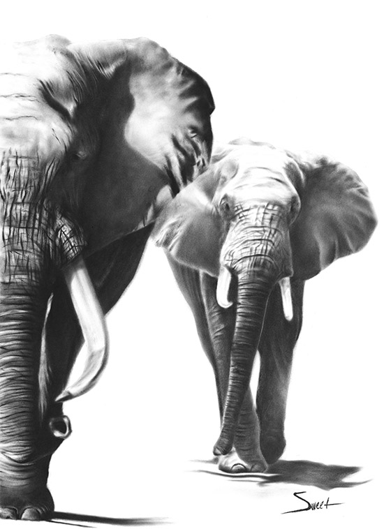 550x758 Two Elephants Oil Painting Print Watercolor Animal Paintings - Elephant Oil Painting