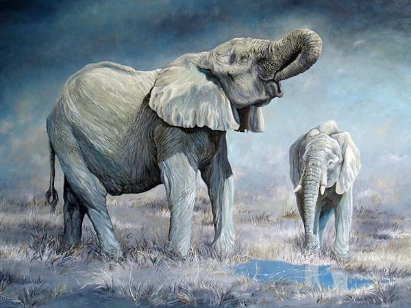 600x450 African Wildlife Oil Painting Gallery - Elephant Oil Painting
