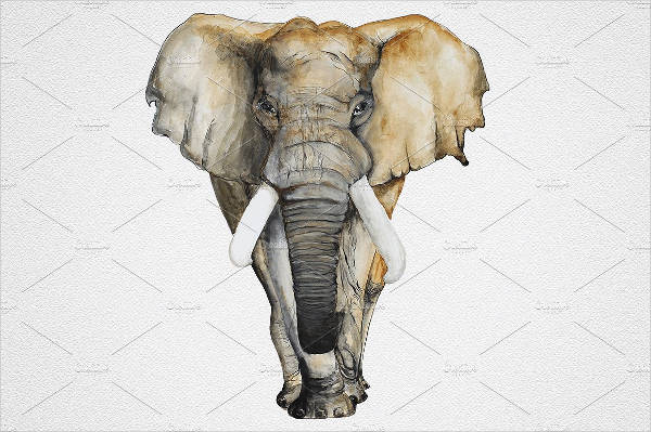 Elephant Painting