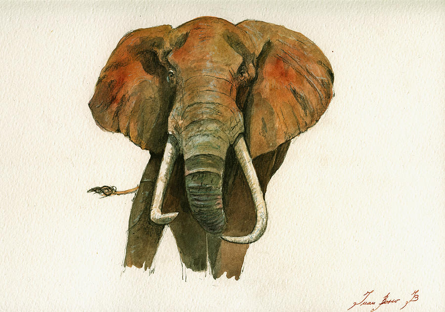 900x631 Elephant Painting Painting By Juan Bosco - Elephant Painting