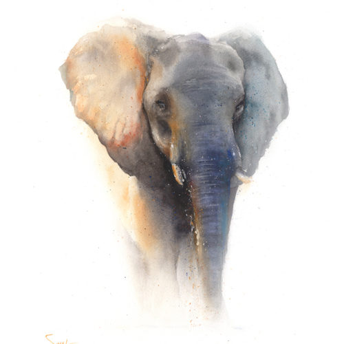500x500 Elephant Watercolor Print Watercolor Animal Paintings - Elephant Painting