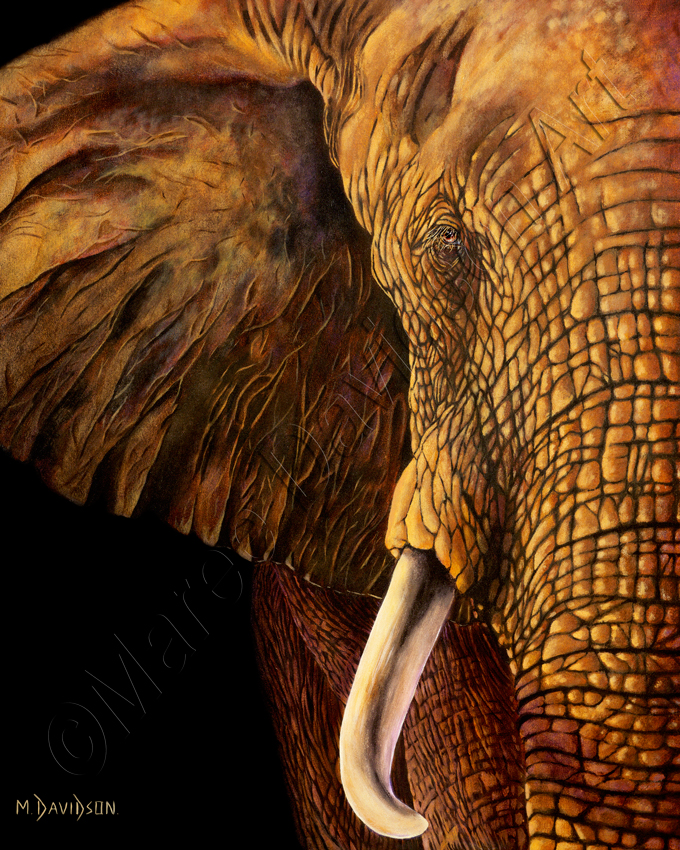 680x850 Wisdom - Elephant Painting