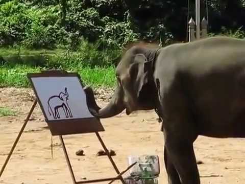 480x360 Elephant Painting An Elephant - Elephant Painting An Elephant