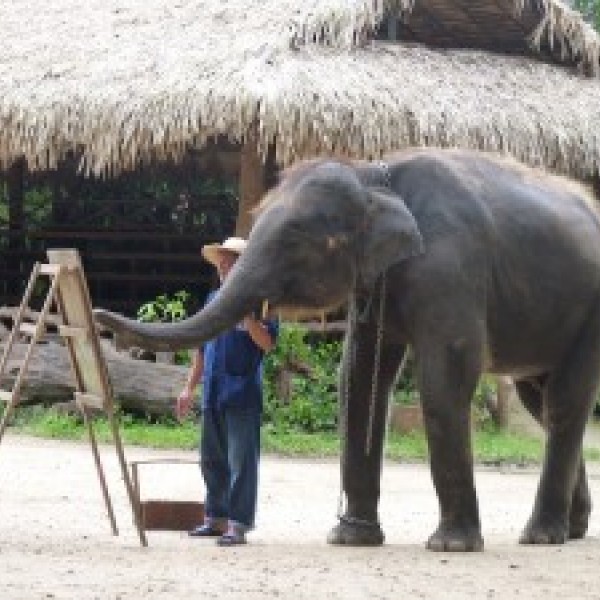 600x600 Elephant Painting - Elephant Painting An Elephant