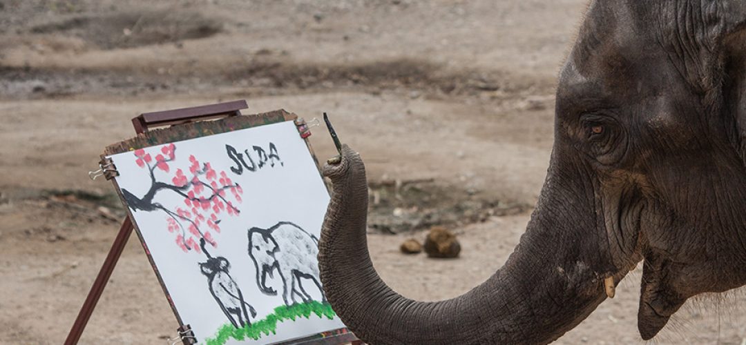 Elephant Painting An Elephant at Explore