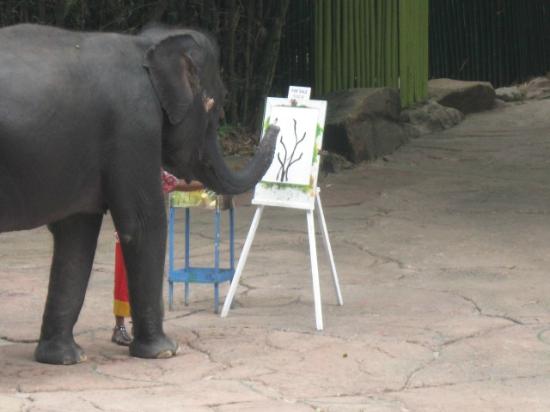 550x412 Elephant Painting A Picture - Elephant Painting An Elephant