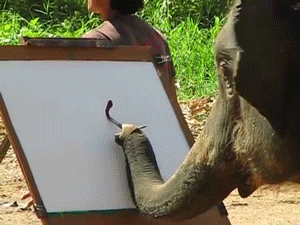 300x225 Not Your Typical Awww But This Elephant Can Paint! Aww - Elephant Painting An Elephant
