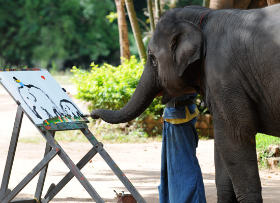 550x400 Elephant Painting His Own Image Funny - Elephant Painting An Elephant