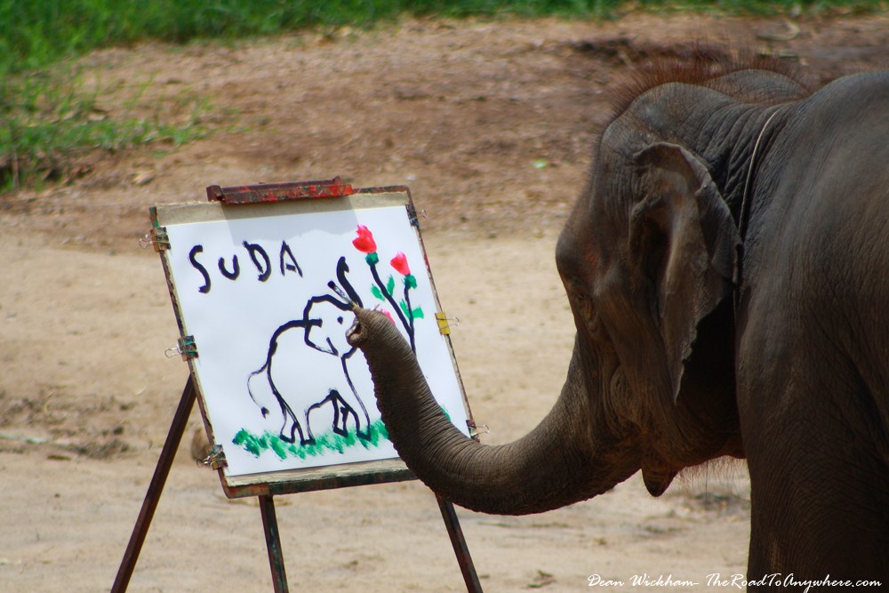 1000x667 An Elephant Painting A Picture In Chiang Mai, Thailand Travel - Elephant Painting An Elephant
