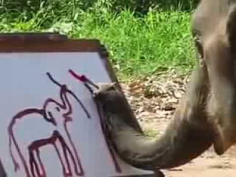 480x360 An Elephant Paints A Self Portrait With His Trunk - Elephant Painting An Elephant