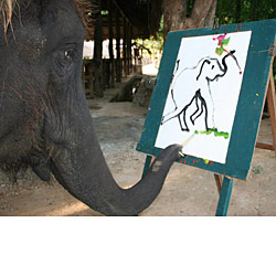 250x250 Default Title - Elephant Painting An Elephant