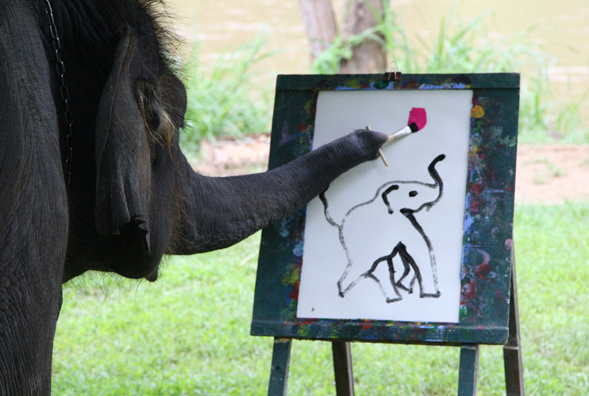 855x575 Elephant Art - Elephant Painting An Elephant