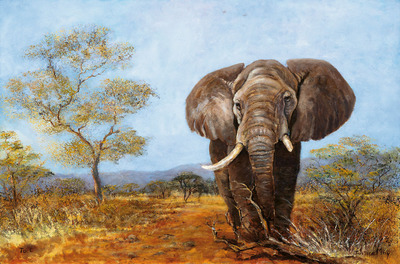400x264 Imfpa Wild Elephant Painting - Elephant Painting Images
