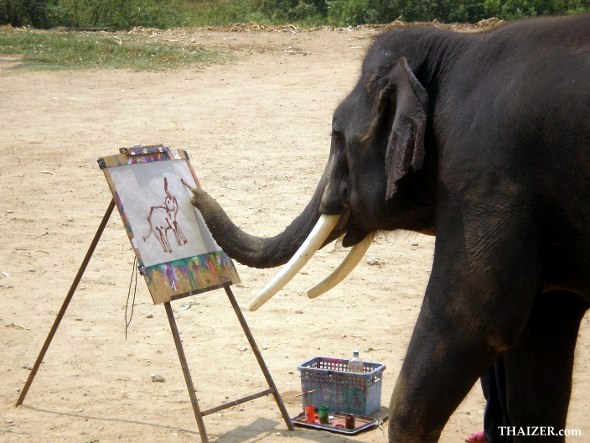 590x443 Thai Elephant Conservation Centre, Lampang (Near Chiang Mai) - Elephant Painting Thailand