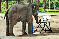 250x167 Thai Elephant Paintings - Elephant Painting Thailand