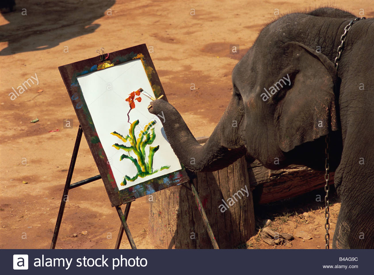 1300x955 Thailand, Chiang Mai, Elephant Painting Stock Photo 19901320 - Elephant Painting Thailand