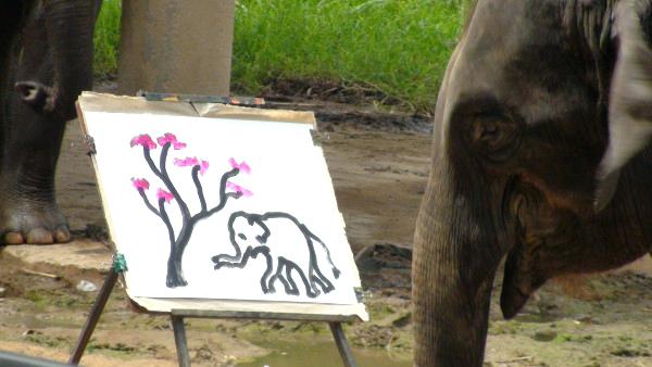 600x338 Astounding Elephant Painting Thailand Elephant Painting Own Image - Elephant Painting Thailand