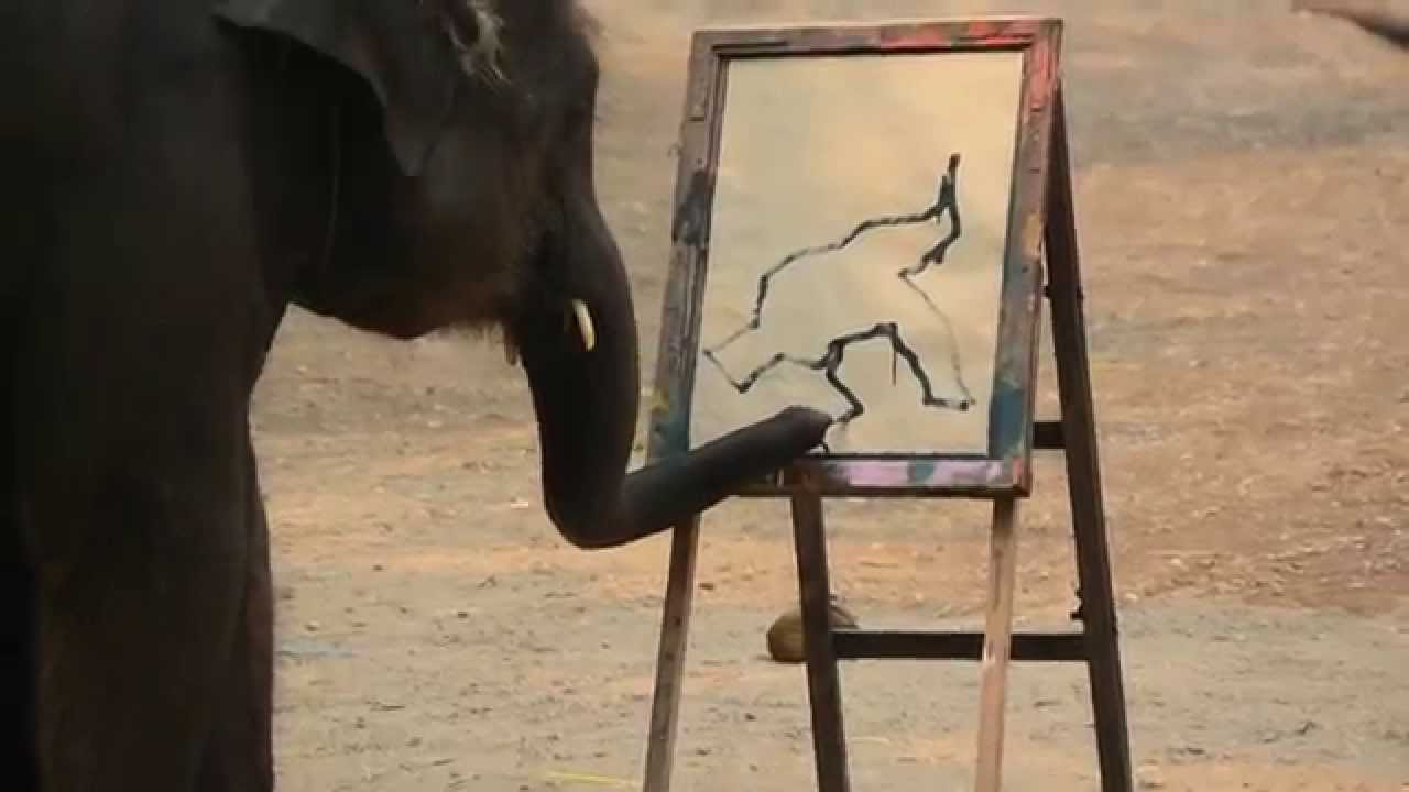 1280x720 Elephant Painting - Elephant Painting Thailand