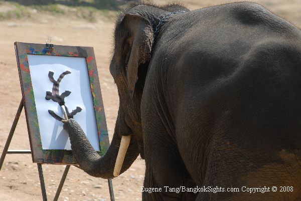 600x401 Elephant Painting - Elephant Painting Thailand
