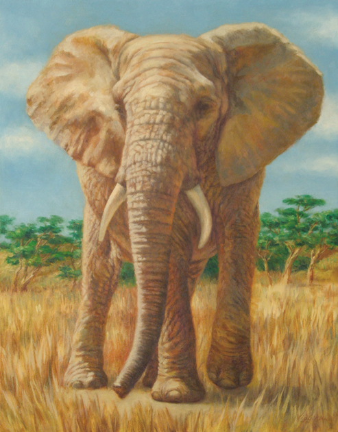 493x630 New Art Prints Available On Demand - Elephant Portrait Painting
