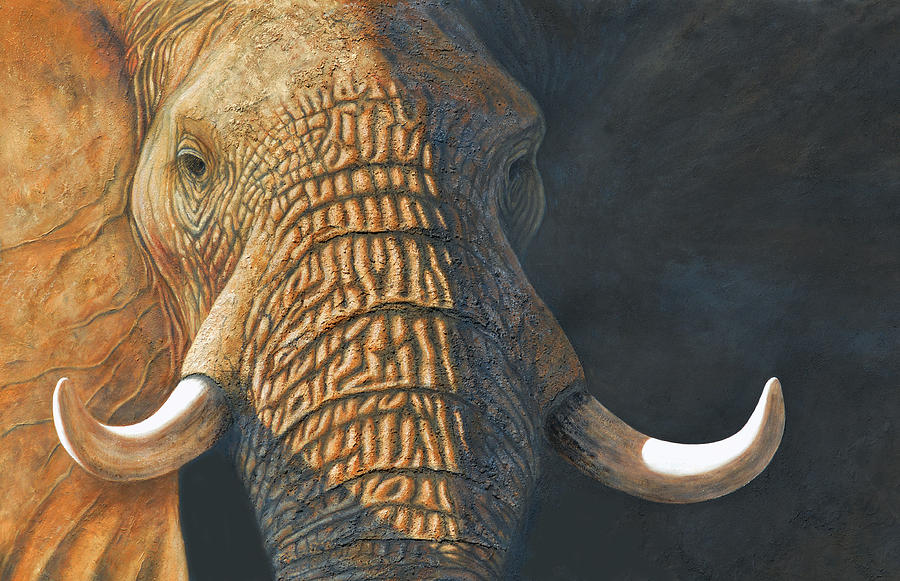 900x581 The Matriarch Elephant Portrait Painting By David Clode - Elephant Portrait Painting