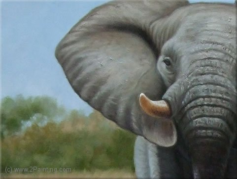 481x362 Africa Paintings And African Portraits Elephant Painting Zebra - Elephant Portrait Painting