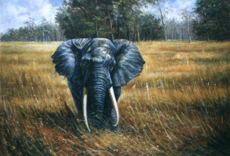 450x305 Elephant Painting Art Of Spirit - Elephant Portrait Painting