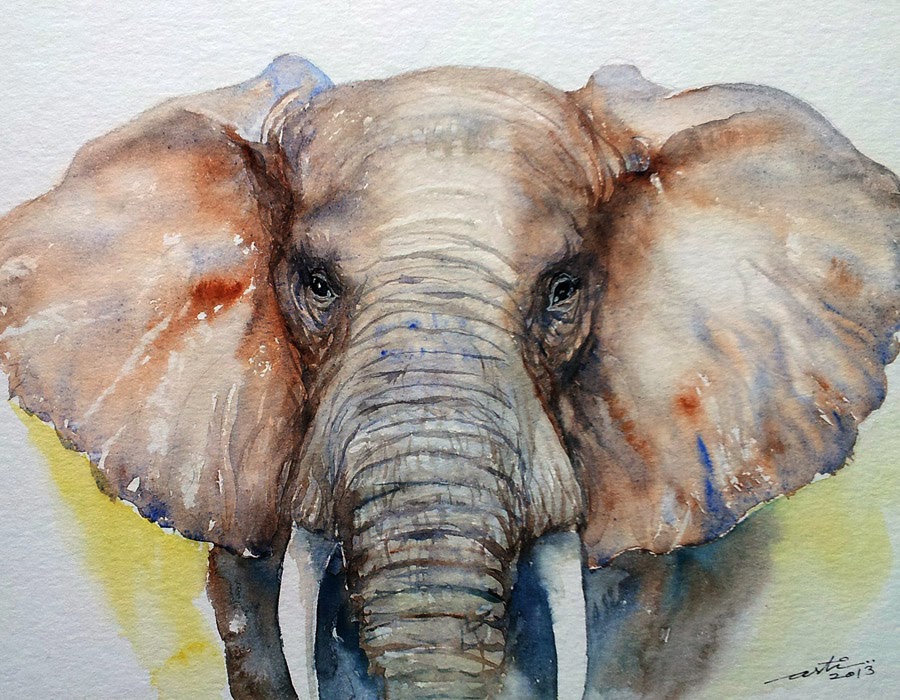 900x700 Arti's Art - Elephant Portrait Painting