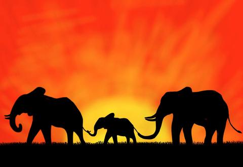 480x330 African Elephant Family Silhouette On Framed Canvas Picture - Elephant Silhouette Painting