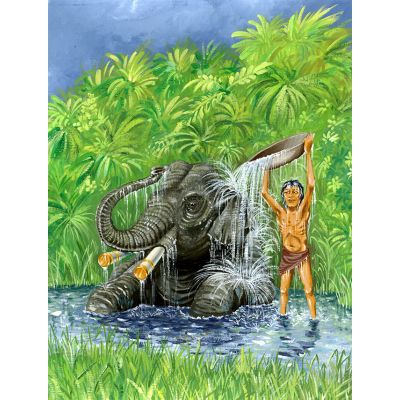 400x400 Amberoad Toomai - Elephant Tuba Painting