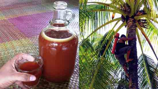 550x309 Tuba Artist Paints Duterte Spot.ph - Elephant Tuba Painting