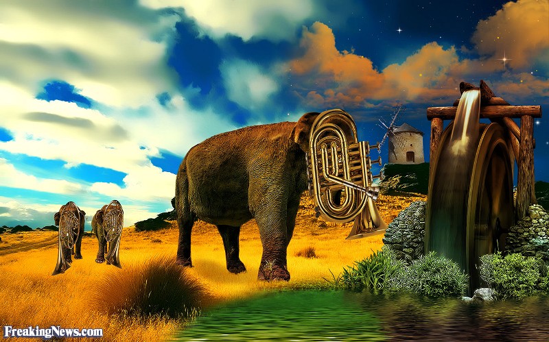 800x499 Musical Tuba Elephants Pictures - Elephant Tuba Painting