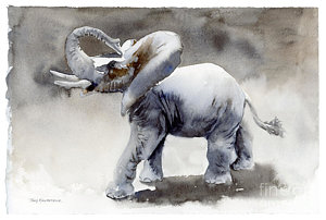300x202 Elephant Tusk Paintings Fine Art America - Elephant Tusk Painting