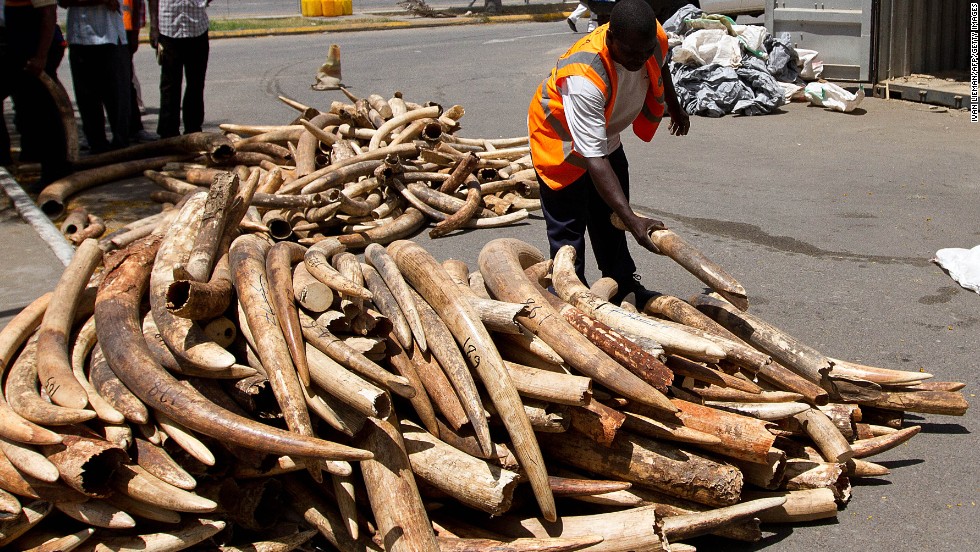 980x552 Opinion Elephant Killings Surge As Tusks Fund Terror - Elephant Tusk Painting