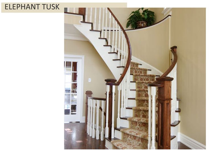 735x531 Elephant Tusk Paint - Elephant Tusk Painting