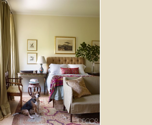 630x517 Elephant Tusk - Elephant Tusk Painting