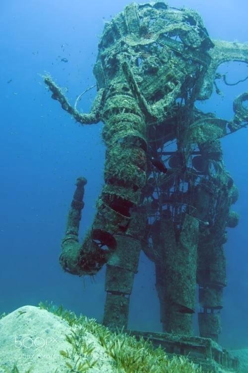 500x750 Elephant Underwater Swimming Elephant Underwater Canvas Panel - Elephant Underwater Painting