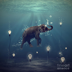 300x300 Underwater Photographs Fine Art America - Elephant Underwater Painting