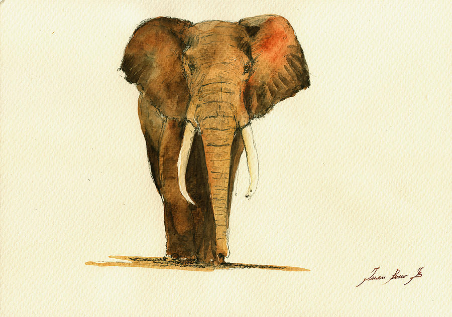 900x632 Elephant Watercolor Painting By Juan Bosco - Elephant Watercolor Painting