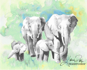 300x240 Katrina Pete - Elephant Watercolor Painting