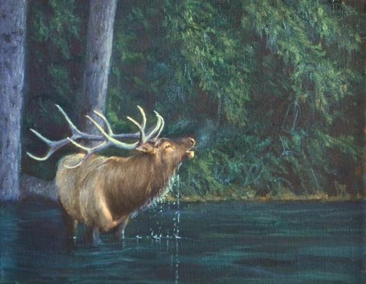 530x412 Morning Call - Elk Oil Painting