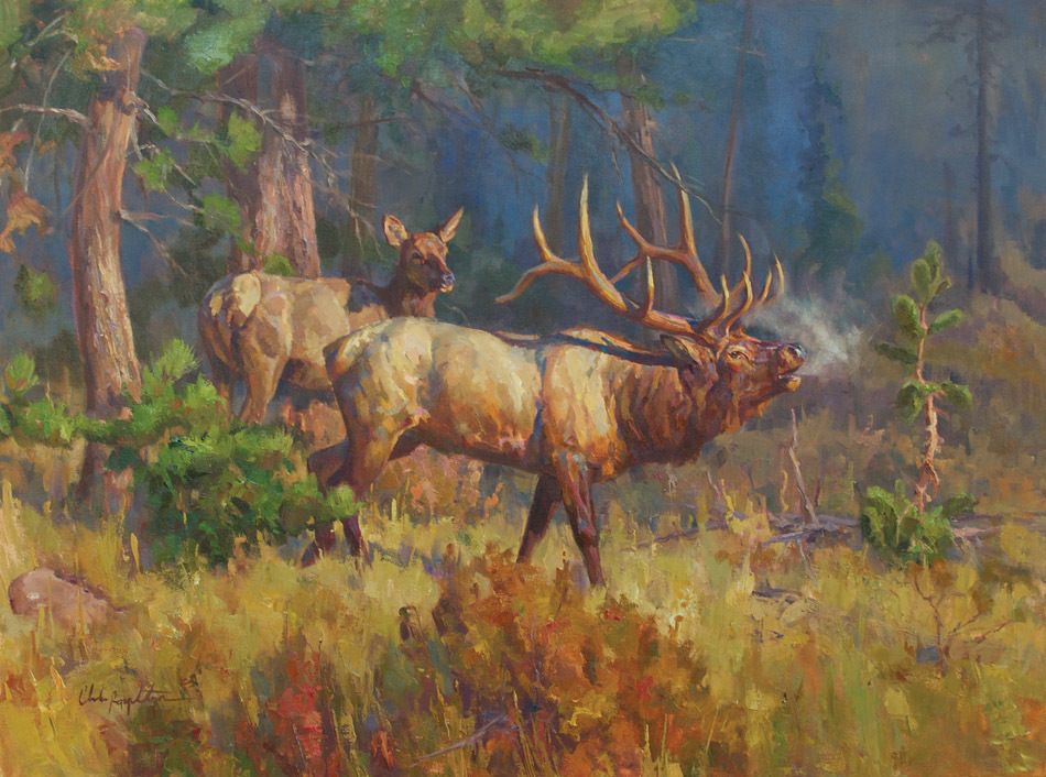 950x706 All Talk - Elk Oil Painting