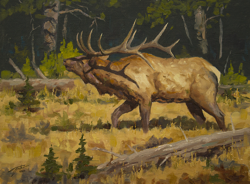 1000x738 Oil Paintings By Jason Tako - Elk Oil Painting