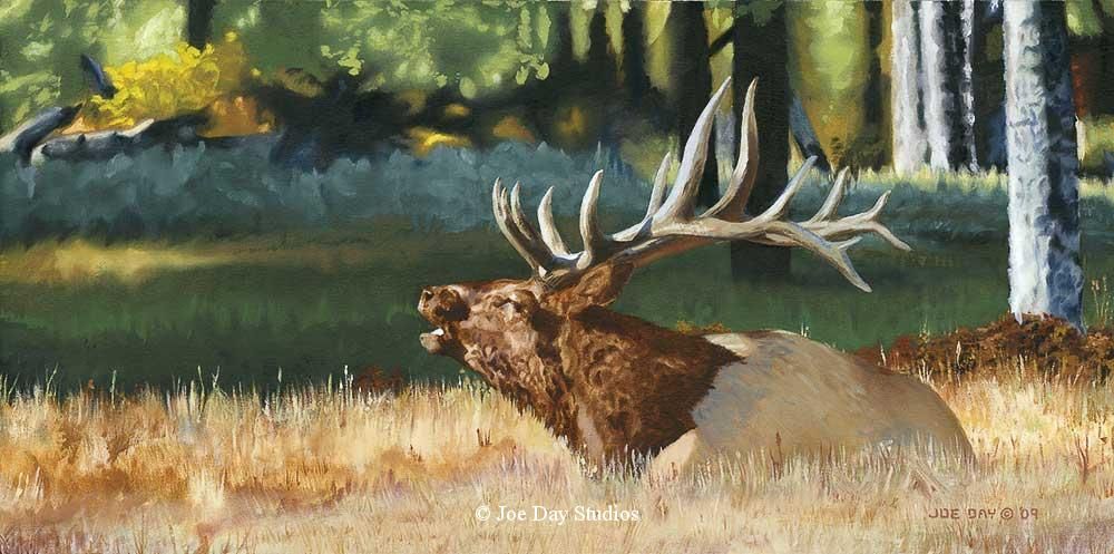 1000x497 Oil Painting Of Elk In The Rocky Mountain Park. Artist Joe Day - Elk Oil Painting