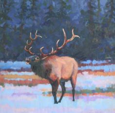 236x233 Rocky Mountain Bull Elk Oil Painting 8x10 Gary White Gary - Elk Oil Painting