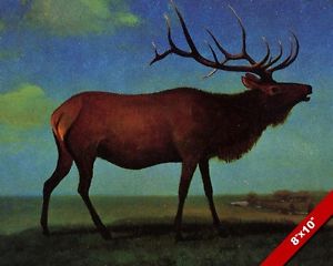 300x240 The Majestic Elk Albert Bierstadt 1800's Oil Painting Art Print - Elk Oil Painting