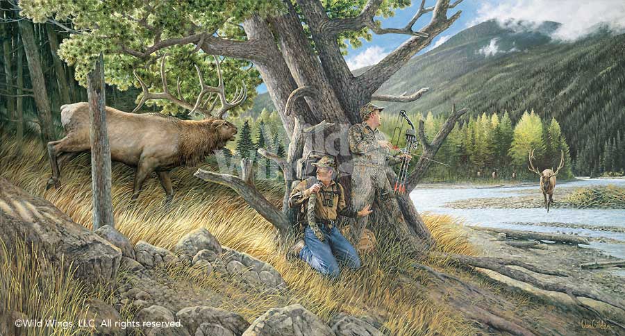 900x484 Unexpected One Elk Original Oil Painting Wild Wings - Elk Oil Painting