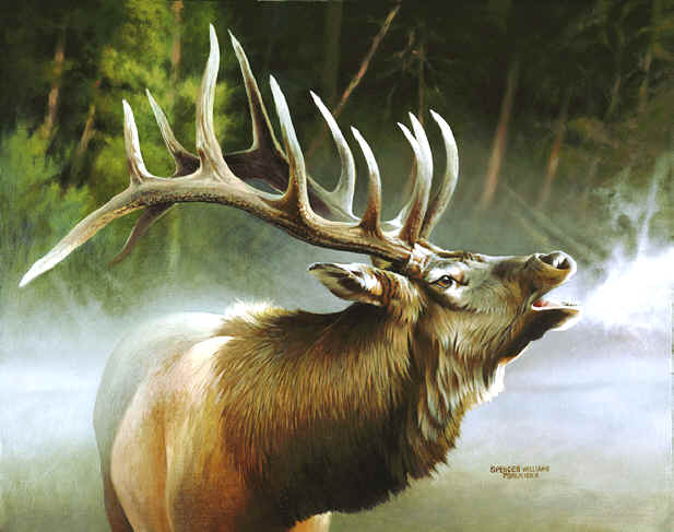 617x487 Animal Amp Wildlife Oil Paintings~wildlife Oil Paintings Amp Original - Elk Oil Painting