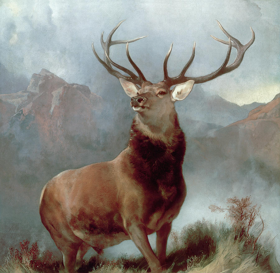 900x876 Animals Elk Bedroomoffice Romanticism Oil Painting Lp00156 - Elk Oil Painting